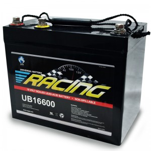 16 Volt Racing Battery