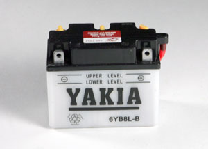 6 Volt 8 AMP Motorcycle And Power Sport Battery (6YB8-3B)